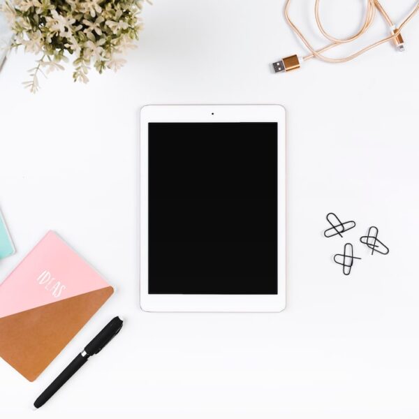 Apple iPad 22 131 обзор и основные характеристики