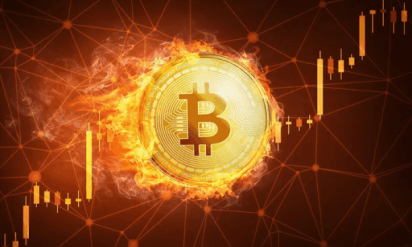 Биткоин способен выдержать обрыв 72% подводных кабелей по всему миру, но целенаправленная атака на пять хостинг-провайдеров может парализовать его работу