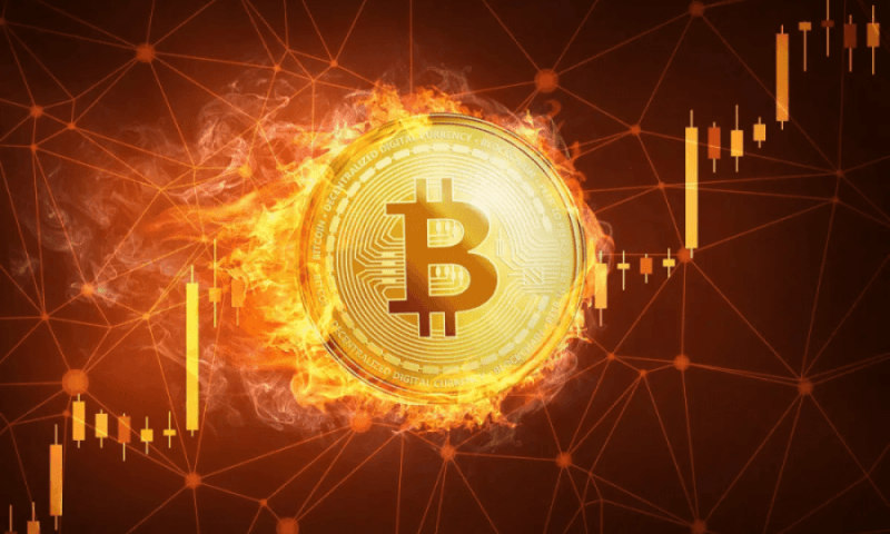 Биткоин способен выдержать обрыв 72% подводных кабелей по всему миру, но целенаправленная атака на пять хостинг-провайдеров может парализовать его работу