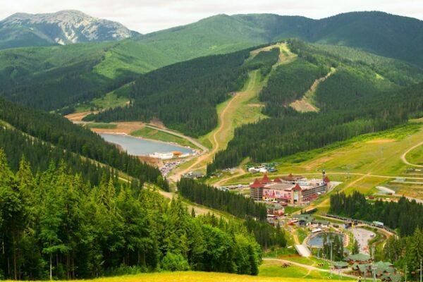 Вредно ли сливочное масло мнение шеф-повара и врача