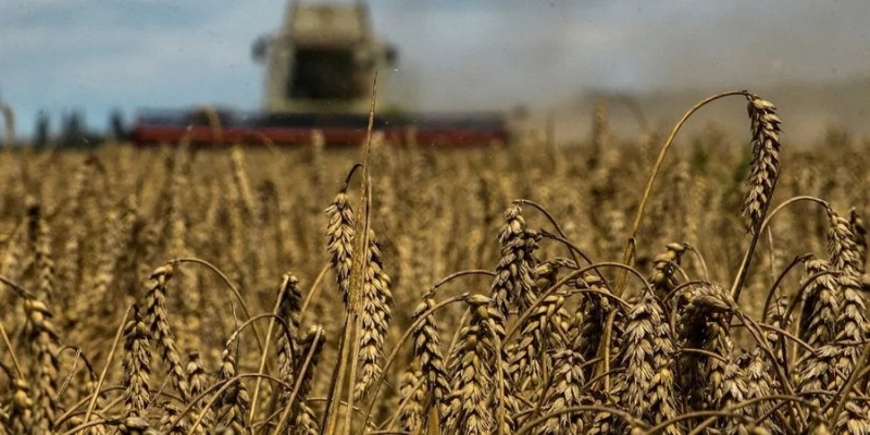 На майже 134 млрд грн. Рівень «чорного» експорту зерна сягнув 20% від загальної кількості — БЕБ