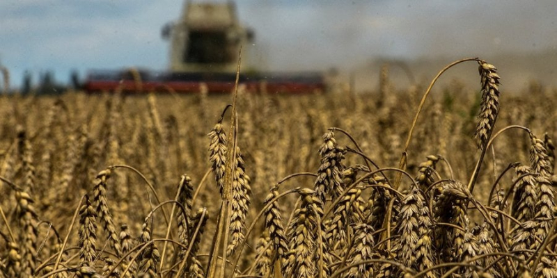П’яте колесо до воза. Росія не потрібна для постачання українського зерна на міжнародні ринки